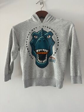 Gray Hoodie with Teal Dino Graphic - Total Beast